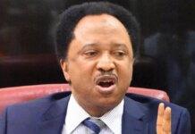 Blame negligence – Shehu Sani reveals why Abuja-Kaduna train derailed