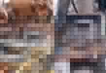 Two men land in police net for vandalizing electricity transformer, cables in Yobe