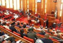 Senate Confirms Aminu Yusuf as NPC Chairman, Approves Two Others as Commissioners
