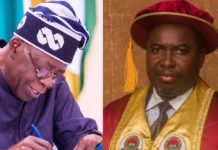ADC: Senate Has Made President Tinubu All-Powerful, Says Amupitan