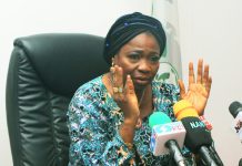 Abike-Dabiri Urges Citizens to Explore Diaspora Investments After N673 Million Milestone