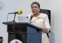 FG Launches Personnel Audit and Skills Gap Assessment in Civil Service