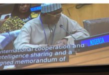 The world must unite to dismantle criminal drug networks, Marwa tells UN session