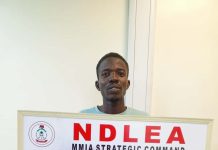 US, UK, DRC-bound illicit drug consignments intercepted in frozen snails, electrical bulbs