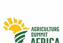 Sterling Bank Leads Africa’s Green Revolution…