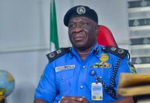 Delta Police arrest murder suspect, cultist/armed robbery syndicate, recover guns