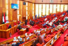 Senate Sets Two-Week Deadline for FG to Submit 2024 Budget Performance Details