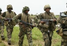 Military Troops Eliminate 9 Terrorists, Recover N5m Ransom in Borno State