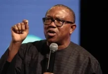 Peter Obi to INEC: Verify Academic Credentials of Tinubu and Other Leaders Before 2027