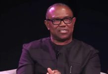 Labour Party Secretary Farouk: “Peter Obi Declined Our Presidential Ticket, Won’t Run in 2027”