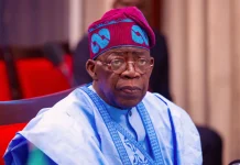Lawyer Files Suit Against Tinubu, Demands Rivers Local Government Polls Be Nullified