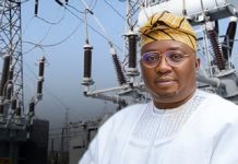 Power Minister Adelabu Urges State Governors to Invest in Electricity Generation