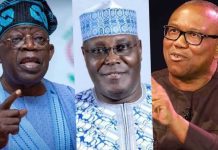 Alawuje To Atiku, Peter Obi: You Are Playing Hypocritical Politics, No Propaganda Will Turn The North Against Tinubu