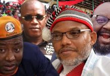 Just In: Court Grants Bail to Sowore, Ejimakor, Nnamdi Kanu’s Brother and Others