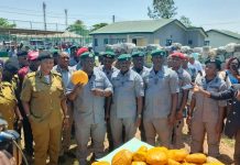 Seme Customs Collects N1.5bn, Supports N531.46m Exports, Intercepts Drugs and Expired Flour