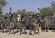 Two Women Allegedly Found With Charms Beheaded by Boko Haram in Borno