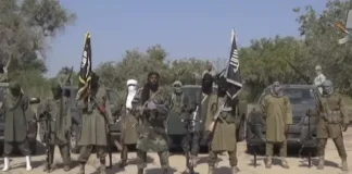 Two Women Allegedly Found With Charms Beheaded by Boko Haram in Borno