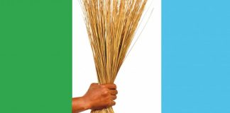 Tinubu Taking Bold Measures to Strengthen Nigeria’s Security — Lagos APC