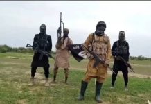 ISWAP Abducts 12 Teenage Girls from Farmlands in Borno