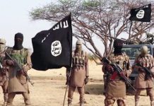 Suspected Lakurawa Terrorists Kill Three Immigration Officers in Kebbi
