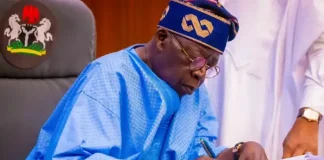 Tinubu Sets Up Tegbe Committee to Oversee New Nigerian Tax Law Implementation