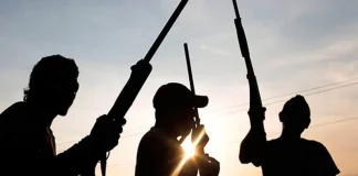 Gunmen Attack Police in Anambra, Seize Rifles — Reports