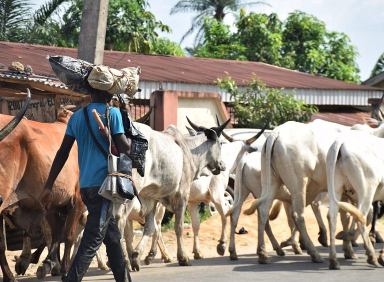 Tragedy in Nasarawa: Woman Maimed Following Herdsmen Attack