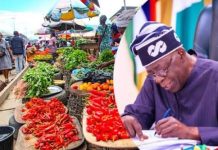 South-West Arewa Community for Asiwaju 2027 Applauds President Tinubu, Sanwo-olu and South-West Governors as Food Prices Drop in Major Markets