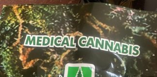 NDLEA alerts on fake medicinal cannabis, recovers large consignment, arrests kingpin