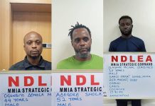 5 drug kingpins bag 21 years imprisonment over Gabon, Australia-bond cocaine, opioids