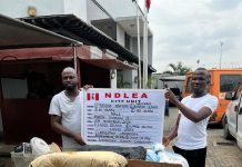 Saudi-bound wanted drug lord arrested as NDLEA raids his clandestine colos lab in Lagos