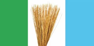 Zamfara: Three APC Executives Sue Party Over November 11 Suspension