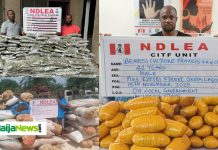 NDLEA Arrests Notorious Lagos Drug Lord ‘Chisco Bee’, Raids Warehouse, Seizes 18,000kg of Drugs Across Nigeria