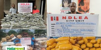 NDLEA Arrests Notorious Lagos Drug Lord ‘Chisco Bee’, Raids Warehouse, Seizes 18,000kg of Drugs Across Nigeria