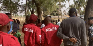 Arewa Group Calls for Collaborative, Dialogue-Based Strategy Against Drug Abuse