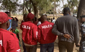 Arewa Group Calls for Collaborative, Dialogue-Based Strategy Against Drug Abuse