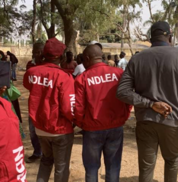 Arewa Group Calls for Collaborative, Dialogue-Based Strategy Against Drug Abuse