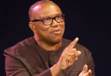 APC to Peter Obi: Fix Your Polling Unit First, Then Talk About Fixing Nigeria