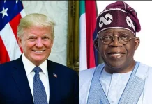 Nigerian Professionals in Europe Urge EU to Restrain Trump, Seek Strategic Security Support