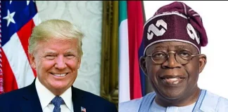 Nigerian Professionals in Europe Urge EU to Restrain Trump, Seek Strategic Security Support