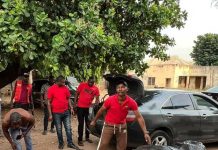 Kogi Drug Bust: Army Intercepts Courier, Recovers Large Cannabis Shipment