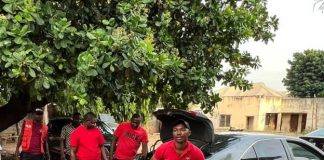 Kogi Drug Bust: Army Intercepts Courier, Recovers Large Cannabis Shipment