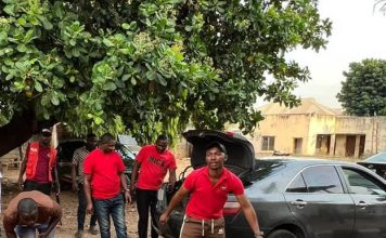 Kogi Drug Bust: Army Intercepts Courier, Recovers Large Cannabis Shipment