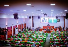 Reps’ Chamber Turns Rowdy Over Call to Investigate Land Allocations
