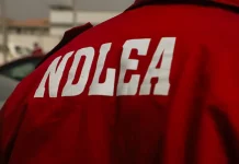 NDLEA Records Major Victory, Convicts Five Global Drug Traffickers