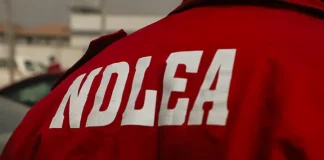 NDLEA Records Major Victory, Convicts Five Global Drug Traffickers