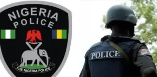 FCID Detains Lawyer, Others in Cyberbullying Case Involving Senator Buba