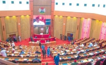Senators Question Aviation Minister on Soaring Flight Costs