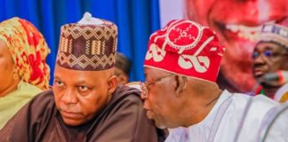 Tinubu Entrusts Shettima With Ranch Development Plan