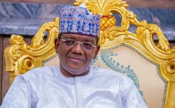 Propaganda Won’t Affect Tinubu, Matawalle Responds to Banditry Criticism